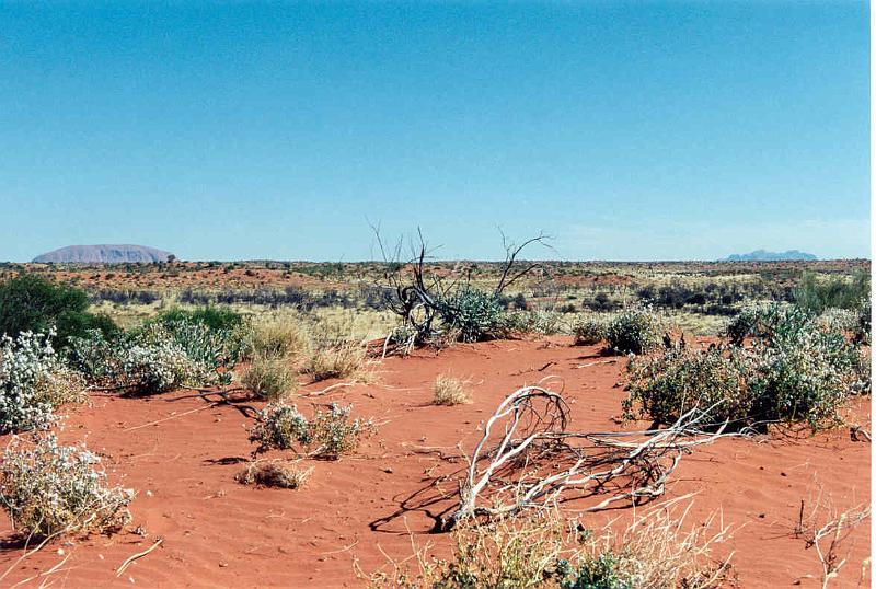 55 ayres rock og the olgas - 080599